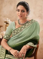 Green Dual-tone Half N Half Chinon Chiffon Saree