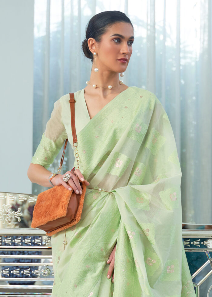 Mint Green Cotton Saree with Lucknowi Chikankari Weaving