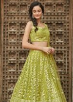 Green Embroidered Lehenga Choli