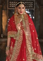 Red Heavy Embroidery Lehenga