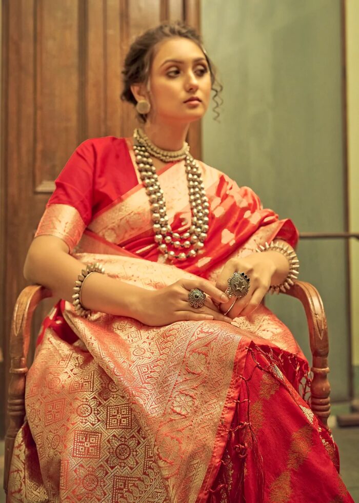 Scarlet Red Banarasi Saree