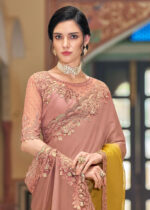 Salmon Pink Embroidered Designer Saree