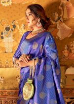 Striking Blue Kanjivaram Saree