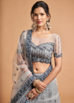 Gray Lehenga Choli