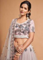 Light Gray Lehenga Choli