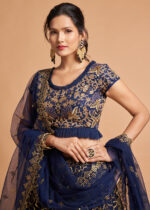 Navy Blue Lehenga Choli