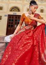 Spicy Red Patola Saree