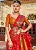 Spicy Red Patola Saree