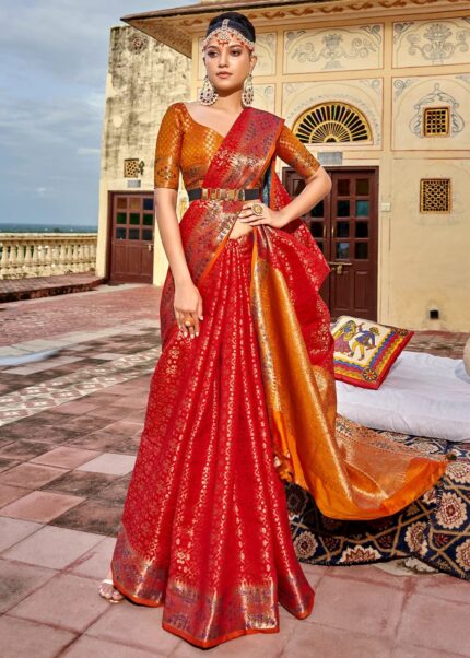 Spicy Red Patola Saree