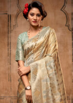 Aqua Green Banarasi Organza Saree