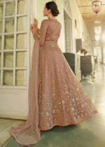 Safari Beige Heavy Embroidery Anarkali