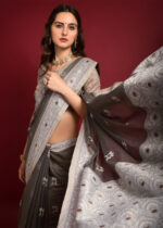 Coffee Lucknowi Chikankari Chanderi Saree