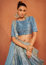 Cool Blue Velvet Lehenga Choli