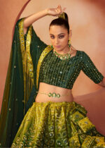 Green Velvet Lehenga with Mirror Work