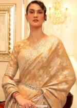 Peanut Beige Lucknowi Chikankari Saree