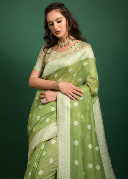 Pista Green Lucknowi Chikankari Saree