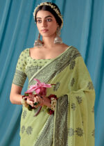 Pista Green Lucknowi Chikankari Saree