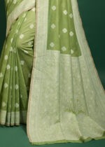 Pista Green Lucknowi Chikankari Saree