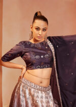 Purple Velvet Lehenga with Mirror Work