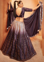 Purple Velvet Lehenga with Mirror Work