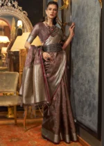 Coffee Brown Banarasi Organza Silk Saree