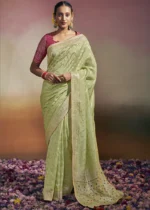 Mint Green Dola Silk Saree