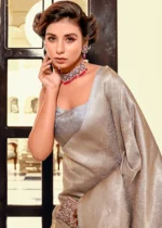 Silver Gray Kanjivaram Silk Saree