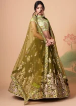 Mehndi Green Lehenga Choli