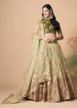 Pista Green Lehenga Choli