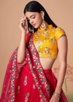 Rani Pink Lehenga Choli