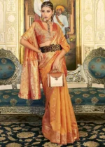 Orange Banarasi Organza Saree