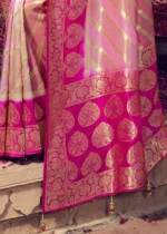 Blossom Pink Banarasi Saree