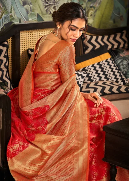 Bridal Red Patola Silk Saree