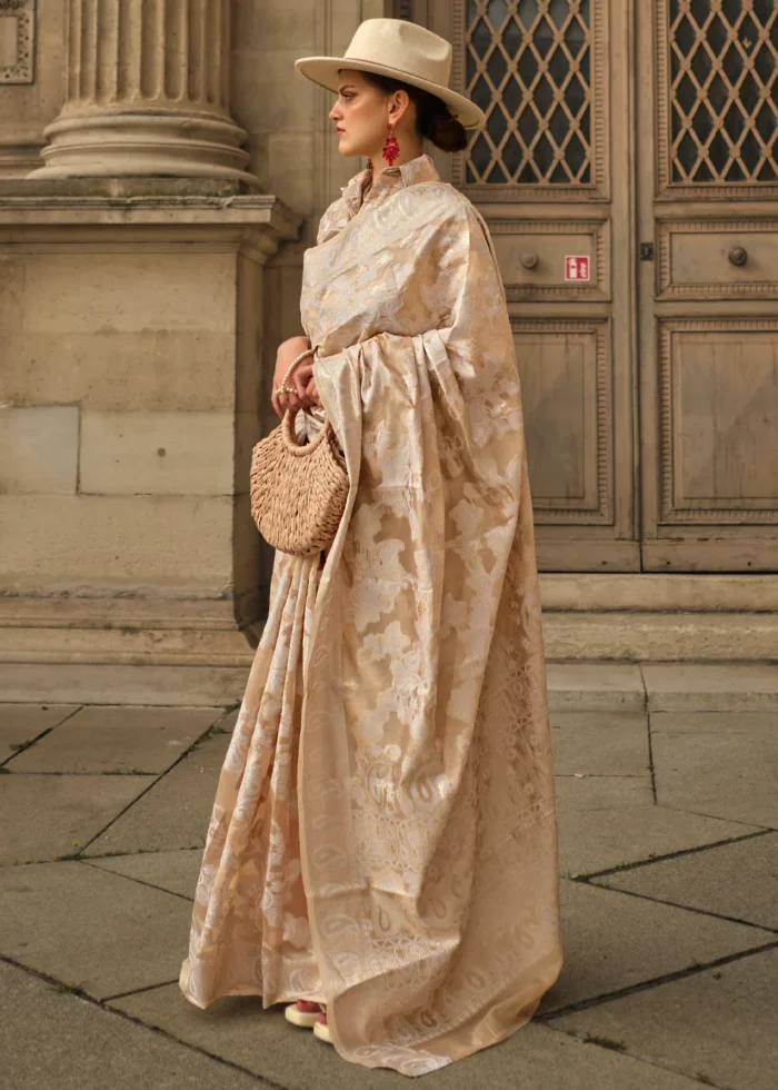 Safari Beige Lucknowi Chikankari Saree