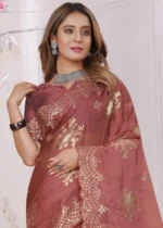 Rust Embroidered Saree