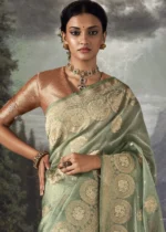 Fair Green Banarasi Saree