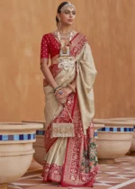 Tan Beige Patola Saree