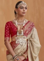 Tan Beige Patola Saree