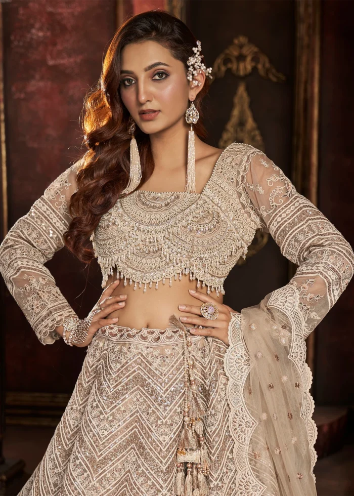 Beige Embroidered Net Lehenga