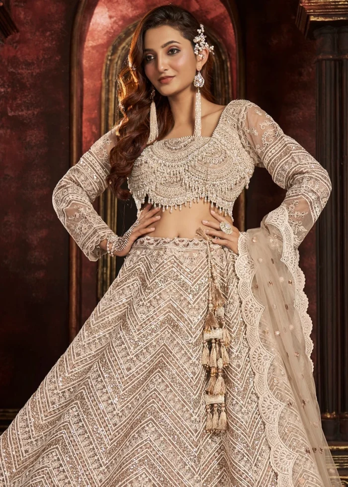 Beige Embroidered Net Lehenga