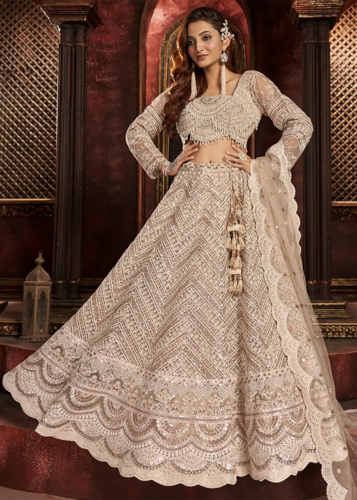 Beige Embroidered Net Lehenga