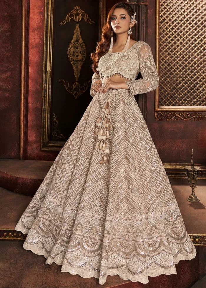 Beige Embroidered Net Lehenga