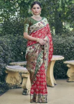 Bridal Red Patola Silk Saree