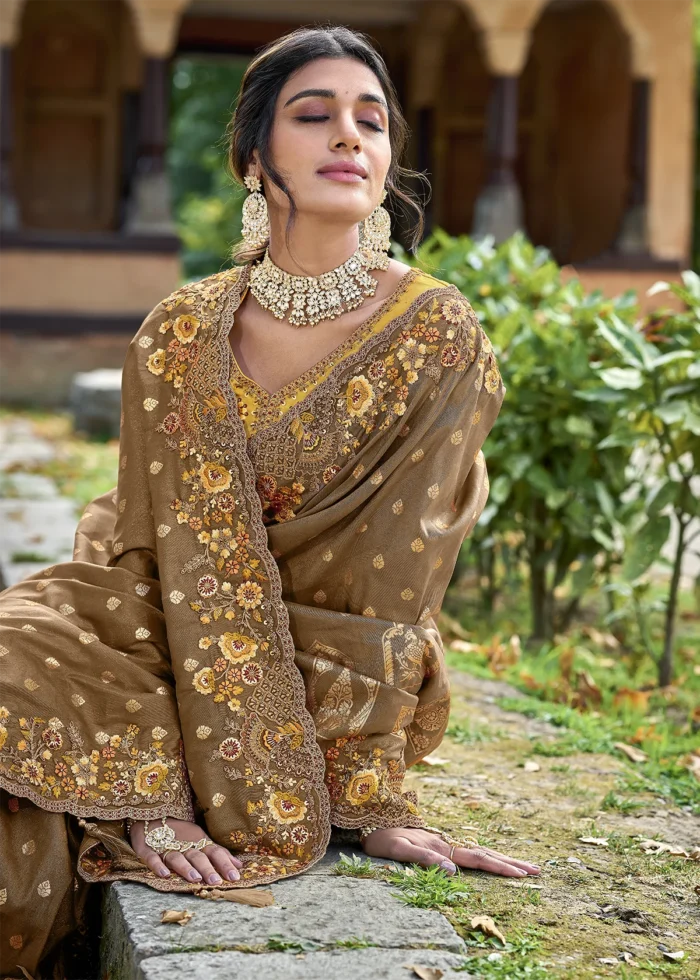 Earthy Brown Banarasi Saree