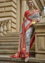 Gray Patola Silk Saree