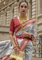 Gray Patola Silk Saree