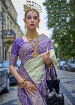 Mint Green Patola Silk Saree