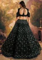 Black Embroidered Net Ready to Wear Lehenga