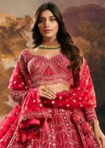 Ready to Wear Raspberry Red Embroidered Net Lehenga