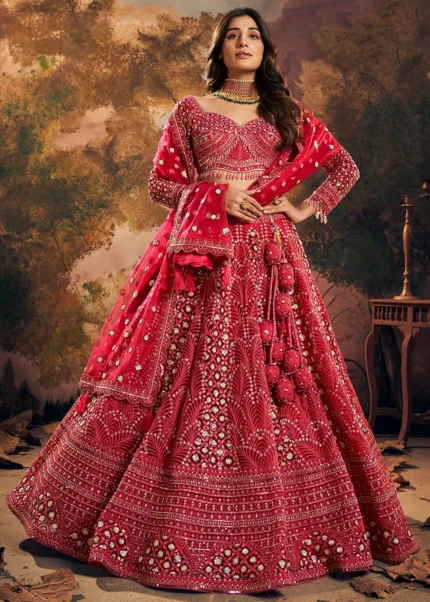 Ready to Wear Raspberry Red Embroidered Net Lehenga